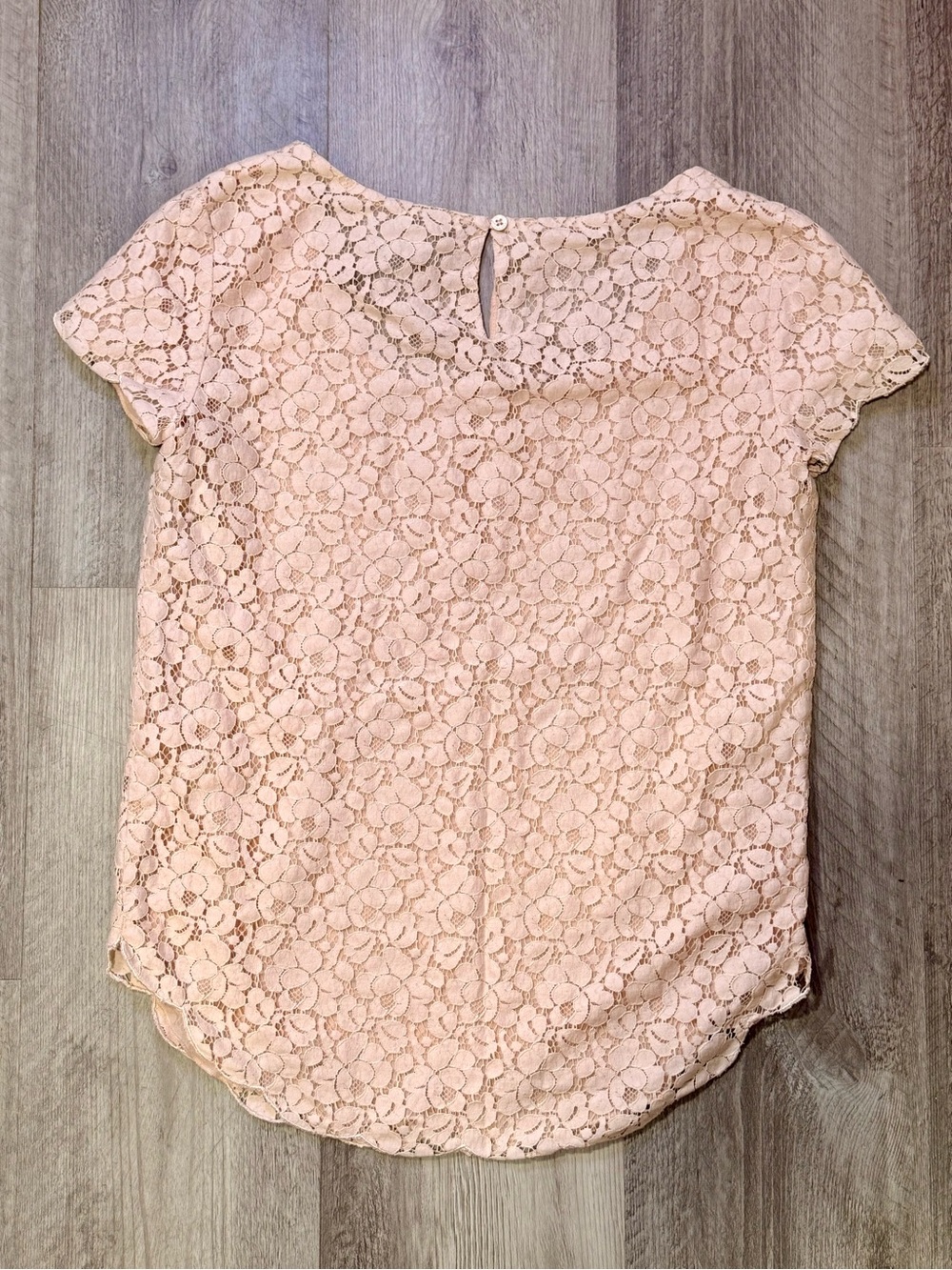Talula Lace Floral Short Sleeve Blouse in Blush - Picture 5 of 5